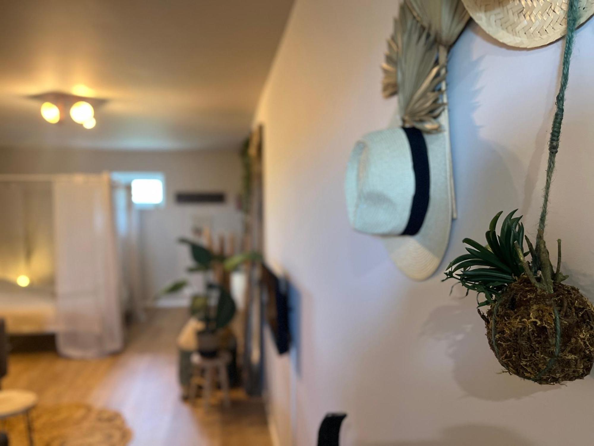 Gite "Ibiza" Chamblet エクステリア 写真